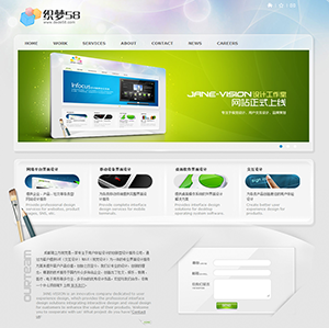 网站的设计与开发 从概念到在线